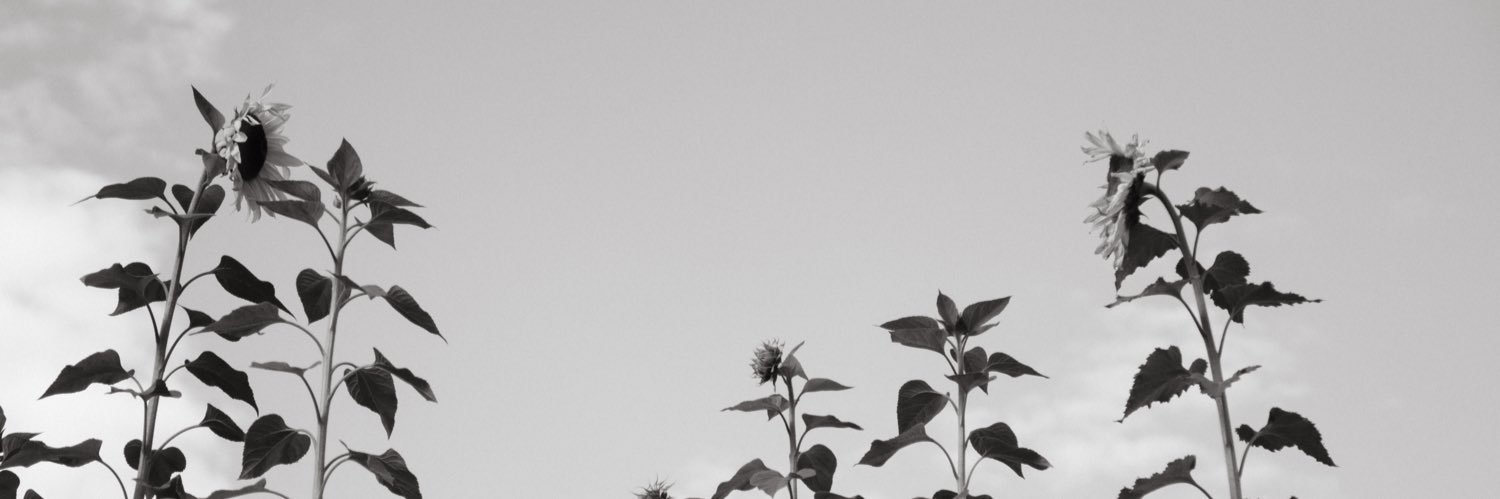 Edna Cárdenas banner