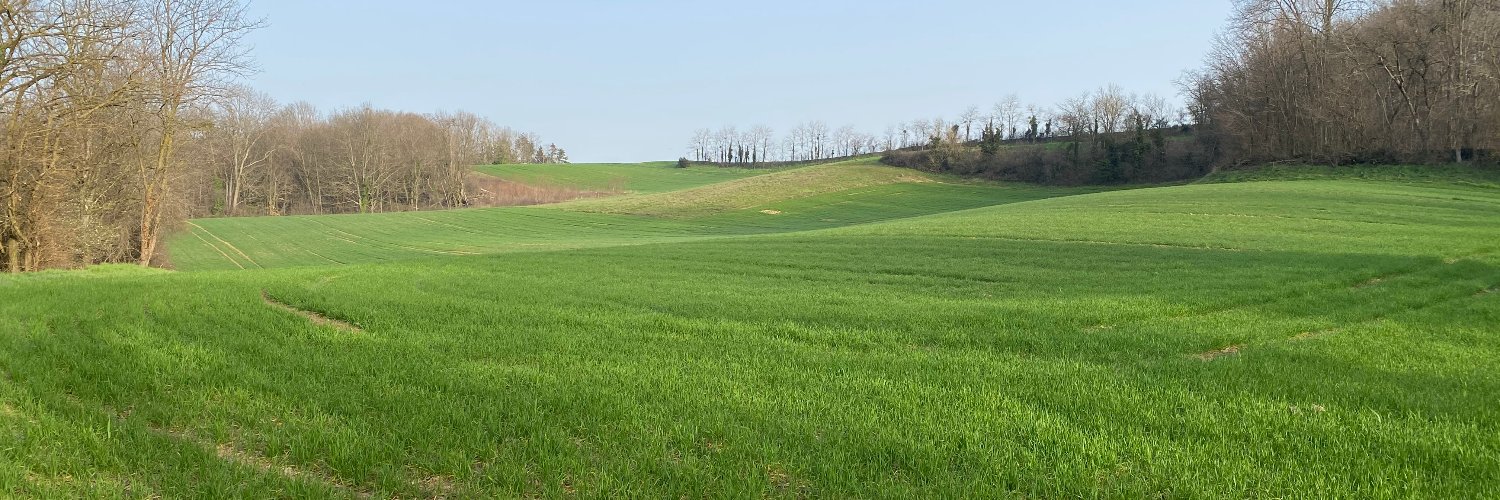 HerveBerryFSM's profile banner image
