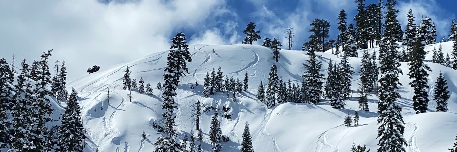 Louis Reingold banner