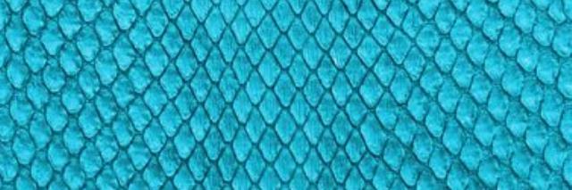fire_lizard_k2's profile banner image