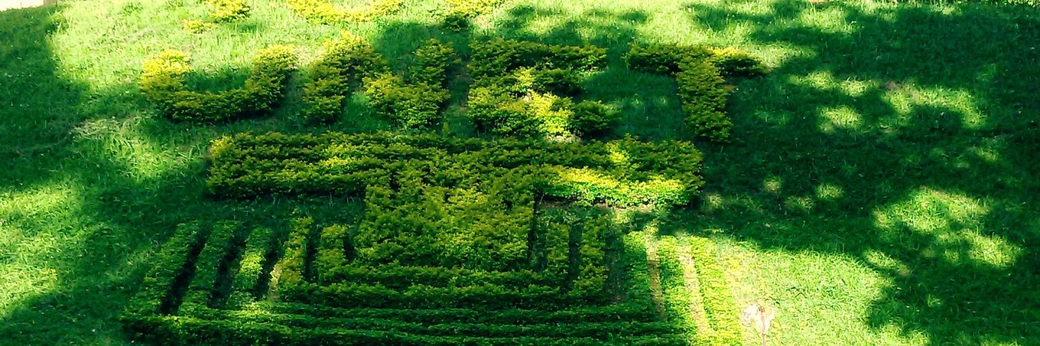 roncot_4's profile banner image