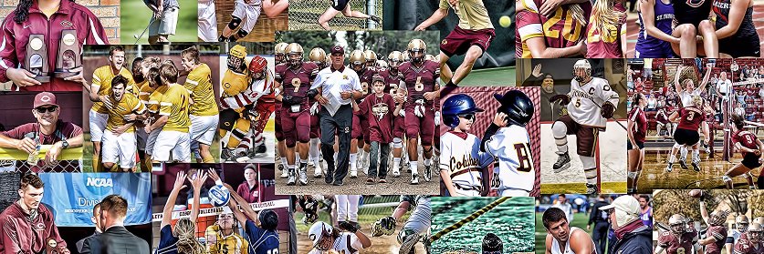 Cobber Athletics's banner