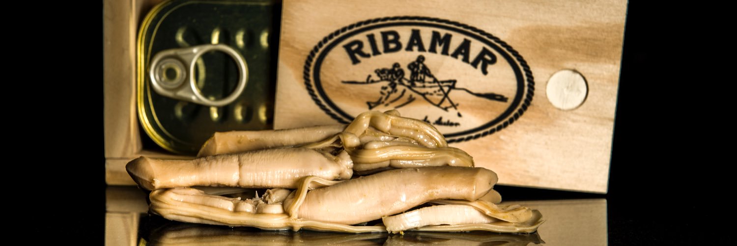RibamarConserva's profile banner image