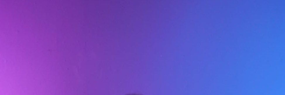 MelissaMontt's profile banner image
