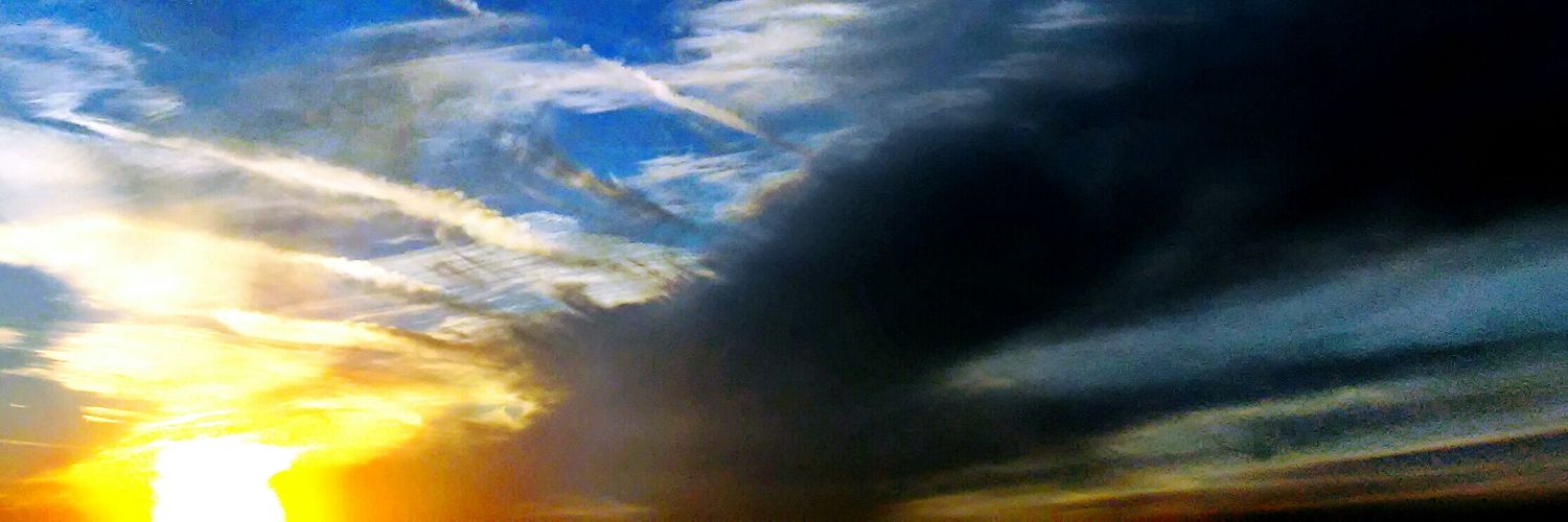 manwo1f's profile banner image