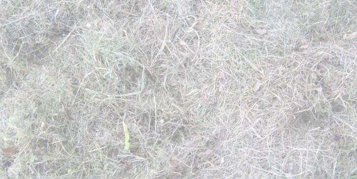 FebruaryWindsor's profile banner image