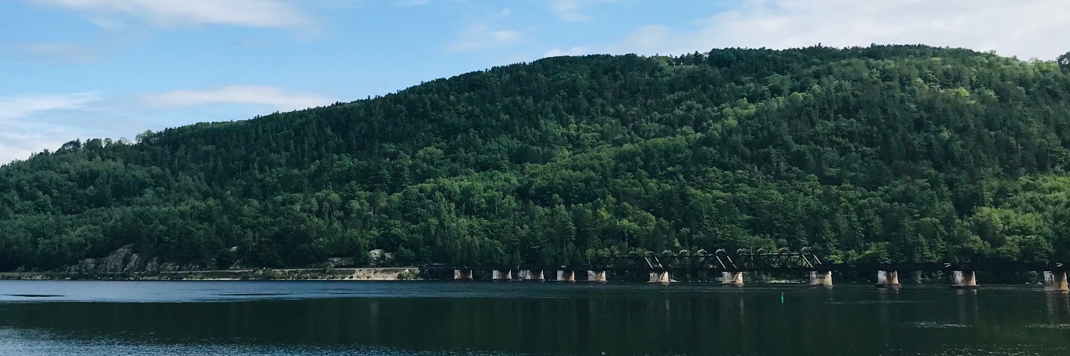 Y.Y. Brandon Chen banner