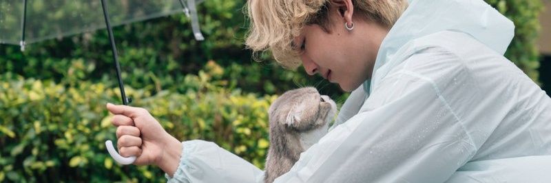 layseung's profile banner image