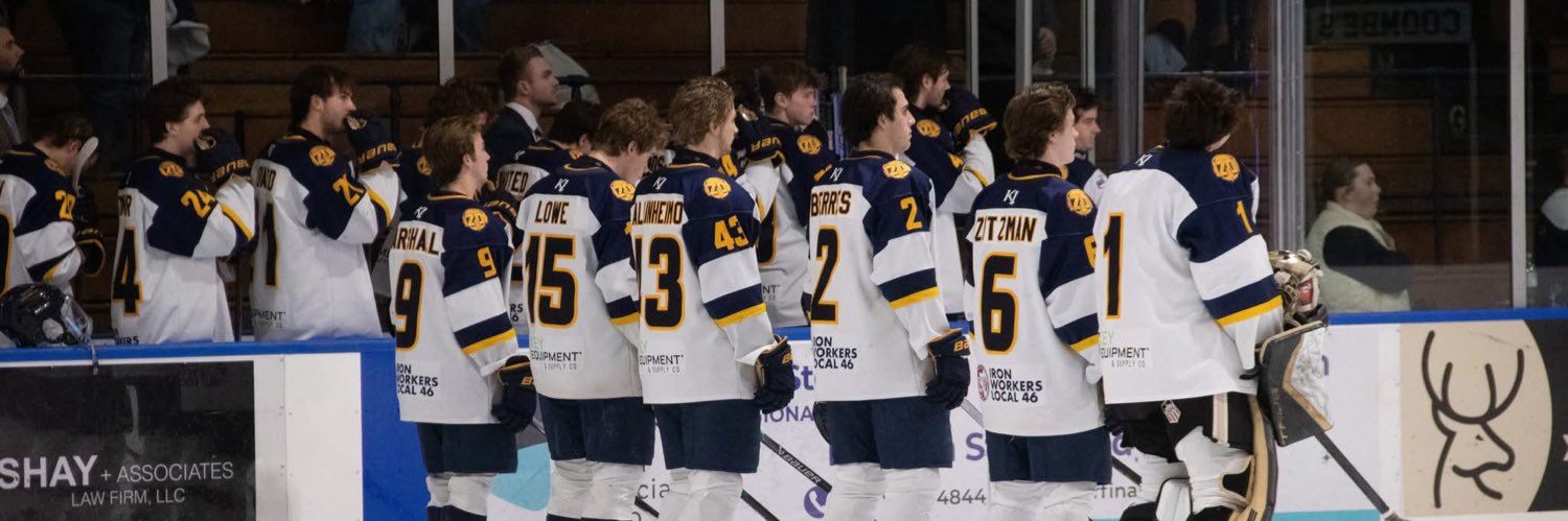 Springfield Jr. Blues banner