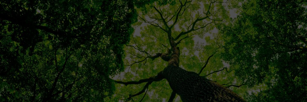 mwheikkila's profile banner image