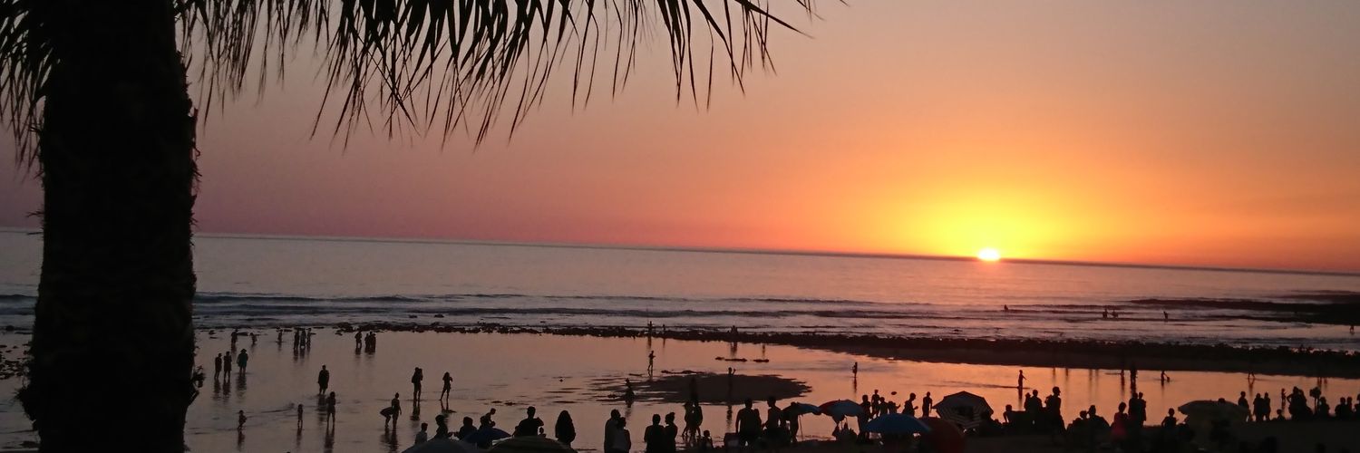 PalomadelAmo's profile banner image