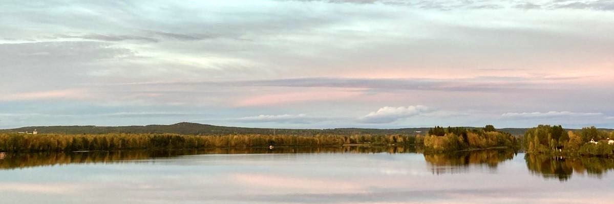 Joyce Ilona 🍩 banner