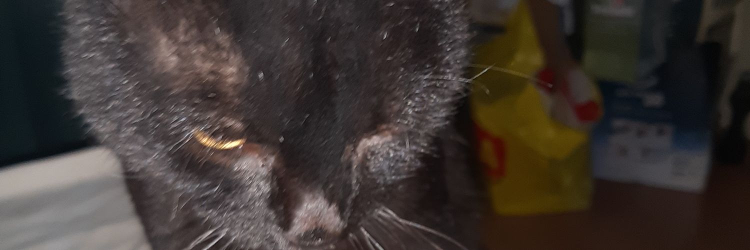 MouseWhitemouse's profile banner image
