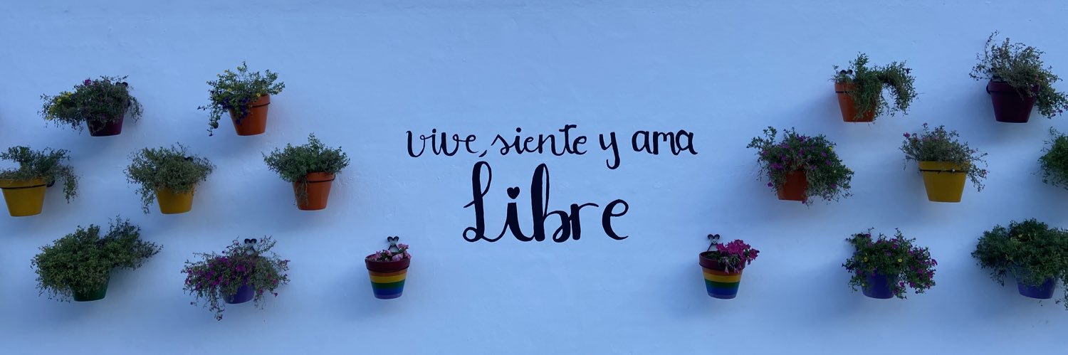 SergioRuigo's profile banner image
