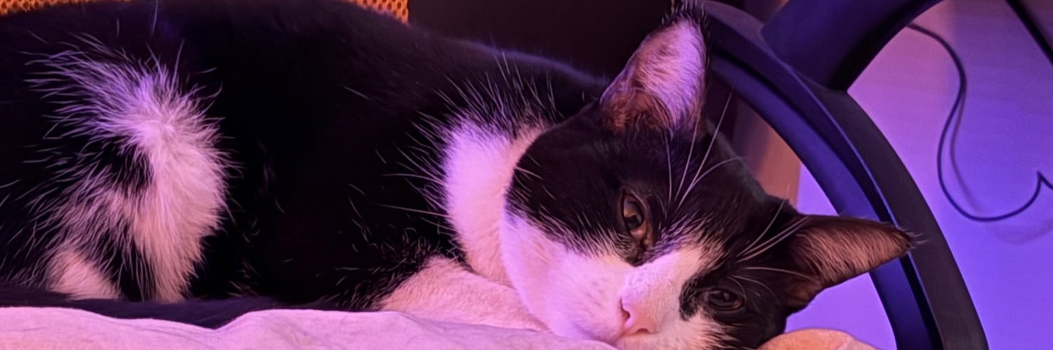 oricastro_'s profile banner image