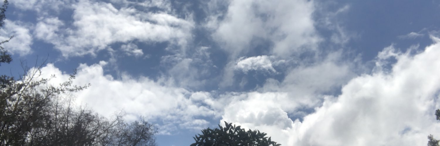 malalapj's profile banner image