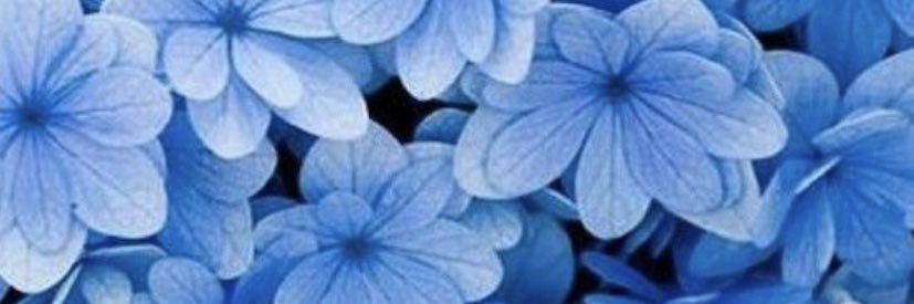 youroshh's profile banner image