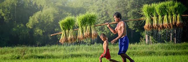 venumanikanta banner