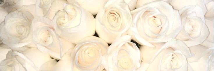 MulanBoo_'s profile banner image