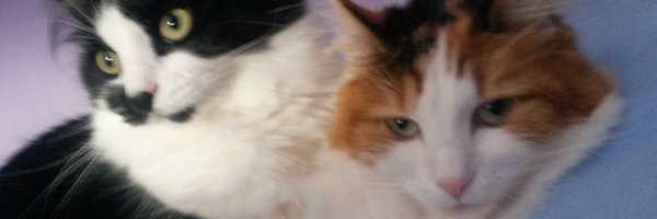 MargLloyd Profile Banner