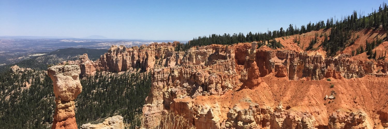 Duchess of Dogs banner