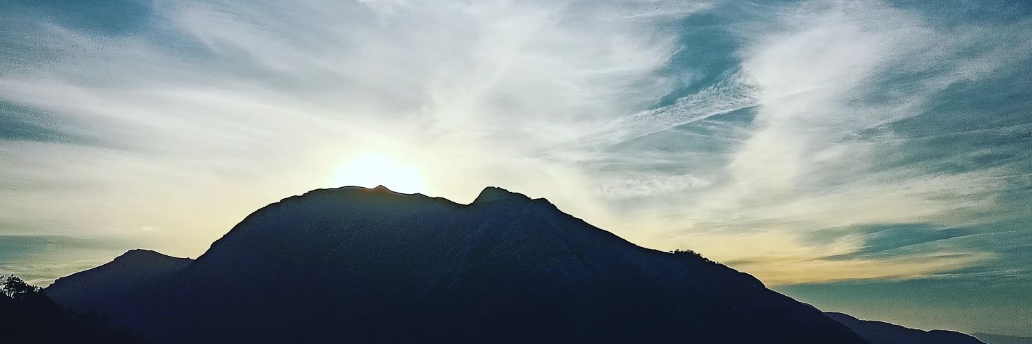 nfelgue's profile banner image