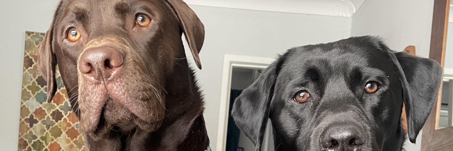 Steven Noble ⚫️🔴🟡🟢 banner