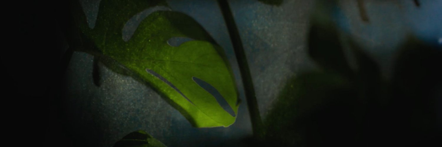 MayaAnnik's profile banner image
