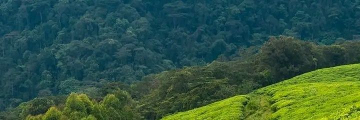 jeffmwanginde's profile banner image