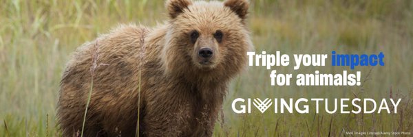 humaneactfund Profile Banner