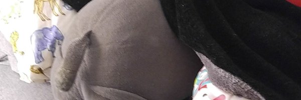 BigSteaky Profile Banner