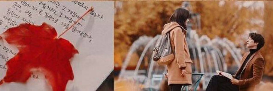 rosejongchen's profile banner image
