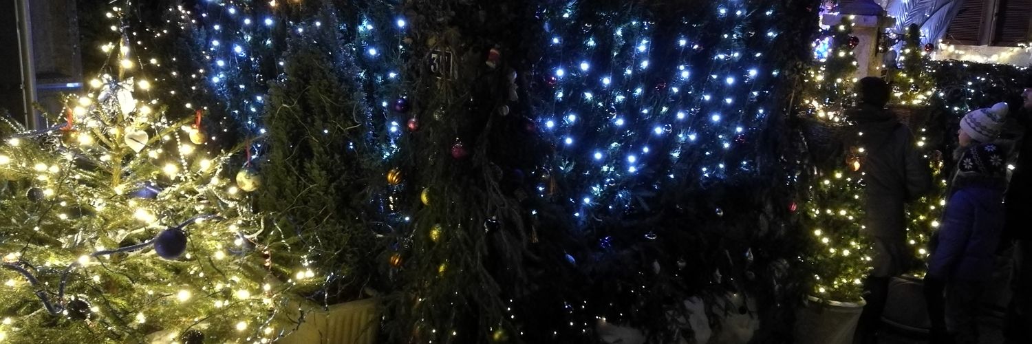 Larry Tournel banner