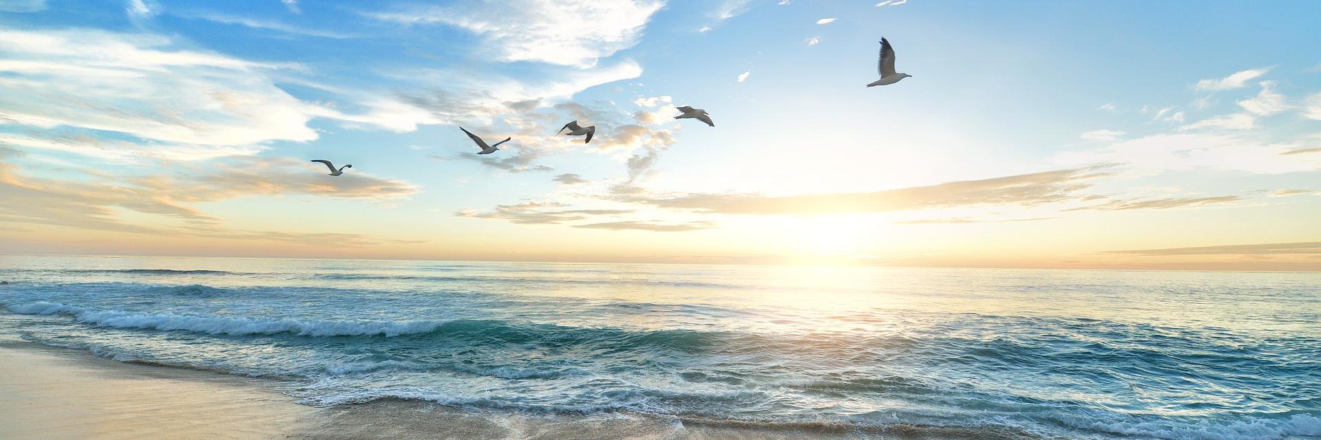 AtlanticRealOBX's profile banner image
