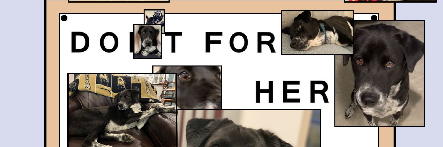 Becca banner