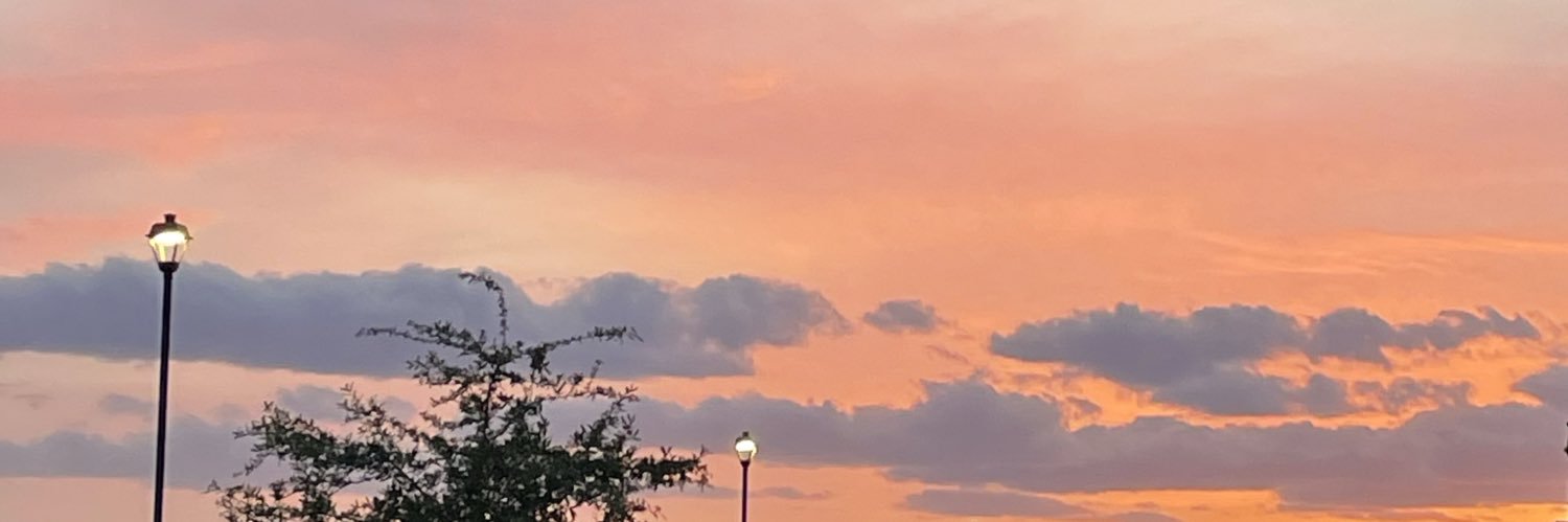 RissaRillo's profile banner image