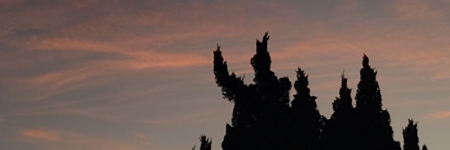 ayluununez_'s profile banner image