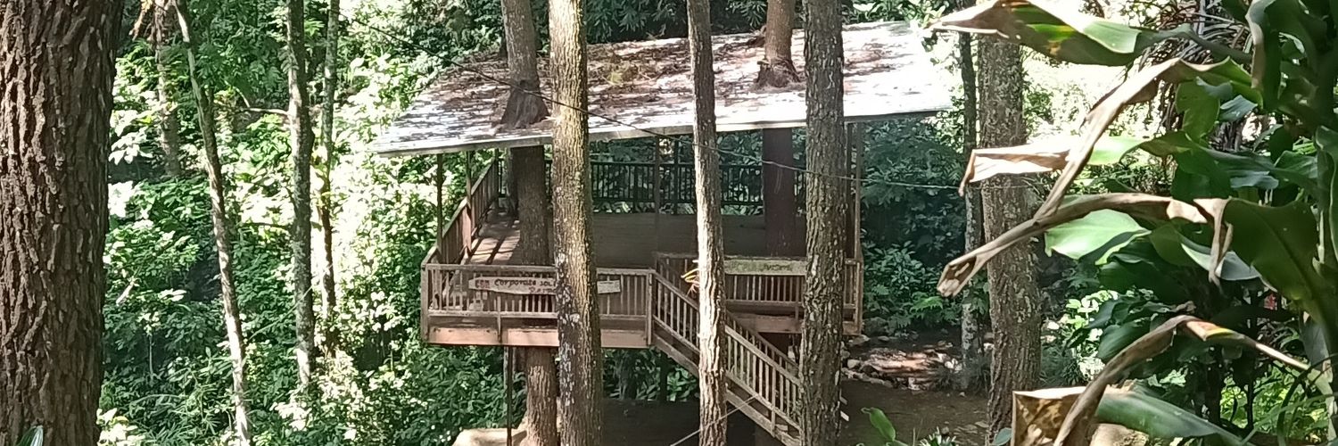 Mom0nTok banner