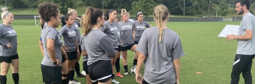 Dominic Gillespie banner