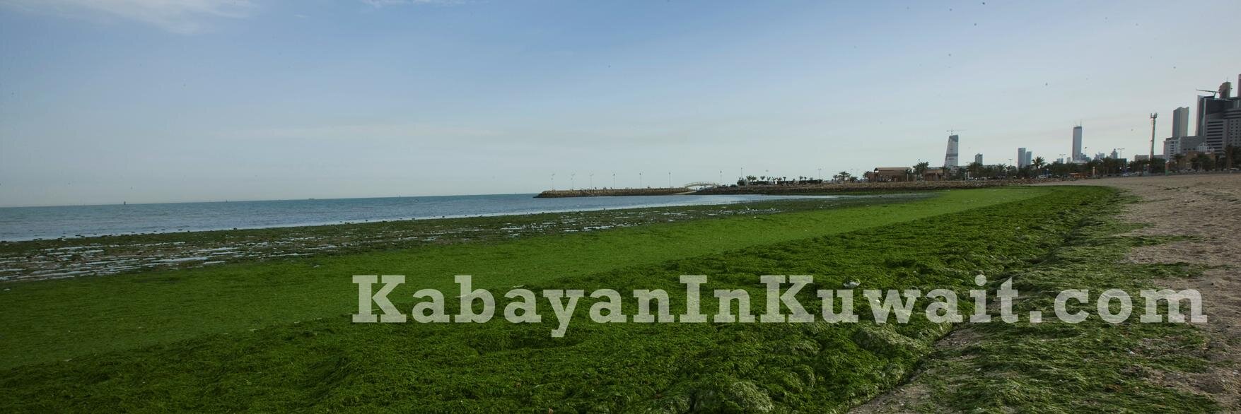 kabayaneditor's profile banner image
