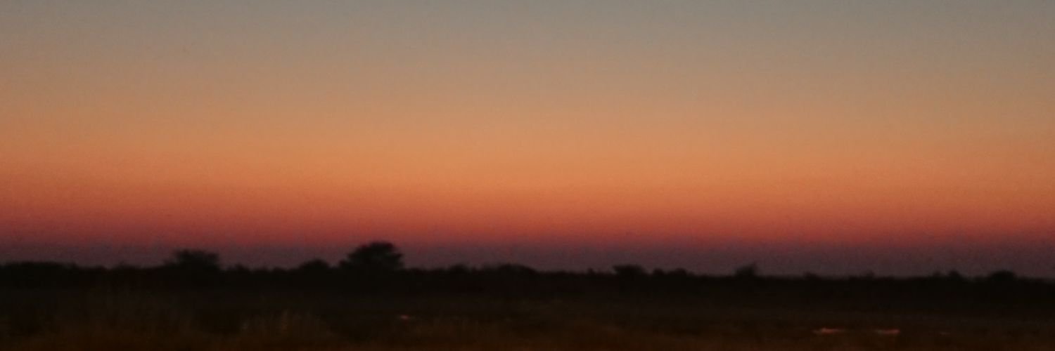 Dennis van Rooij banner