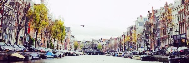 Amy_Tillss's profile banner image