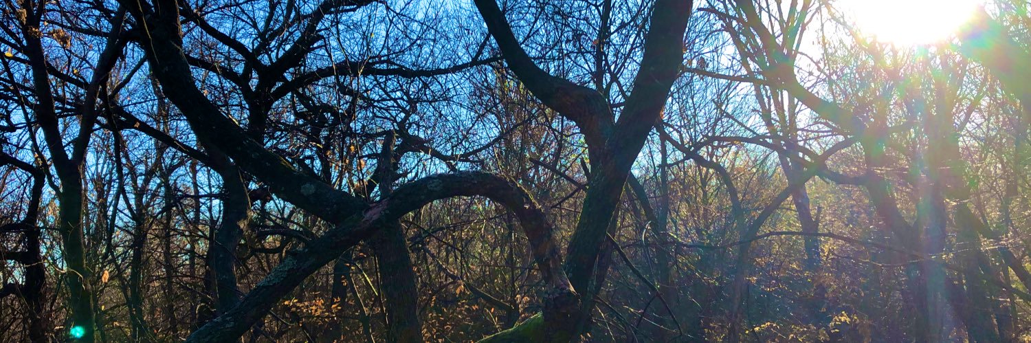 ClarkHunter64's profile banner image