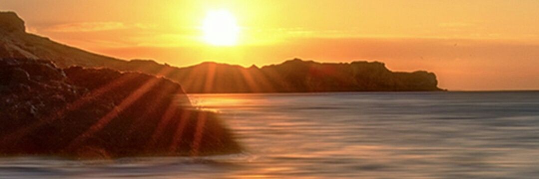 as48's profile banner image