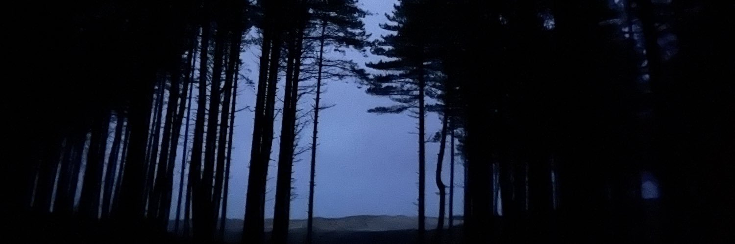 Victor Kuppers banner