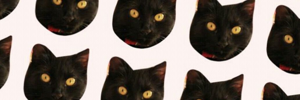 lopezdanisa's profile banner image