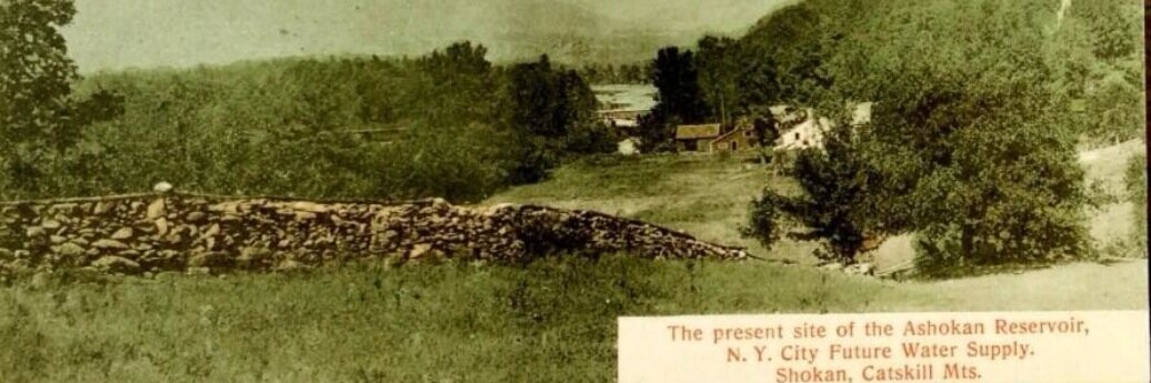 April M. Beisaw banner