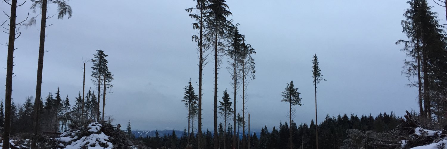 StephaneBoss's profile banner image
