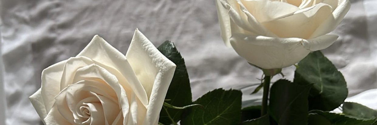 SheilaaRuiz's profile banner image