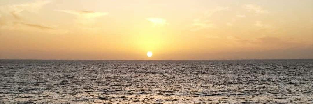 laauapa's profile banner image